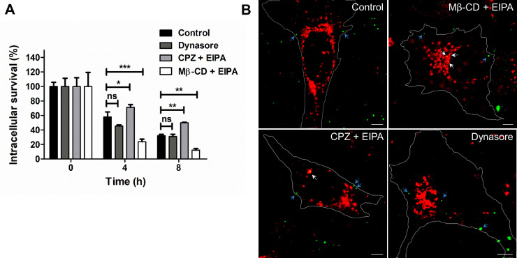 Fig 4