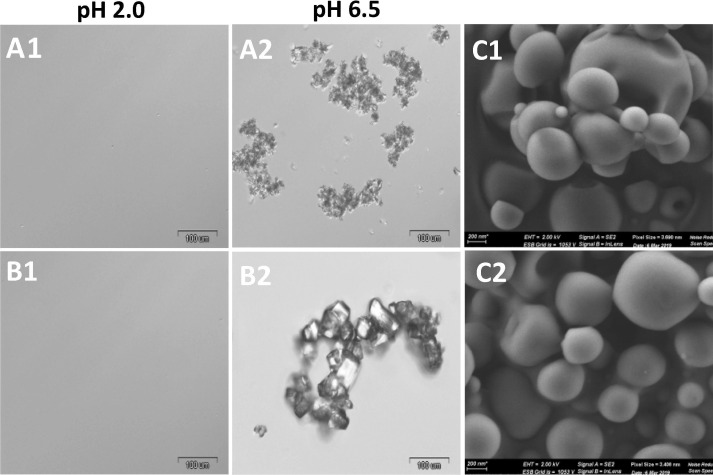 Fig. 7