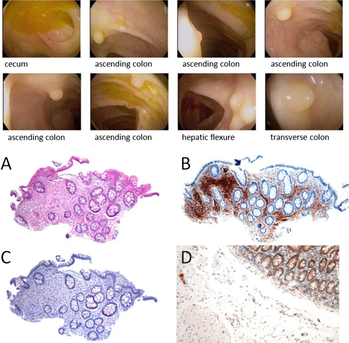 Fig. 2