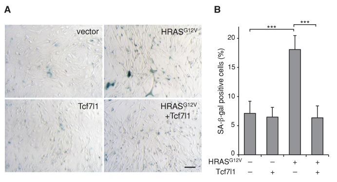 Figure 6—figure supplement 1.