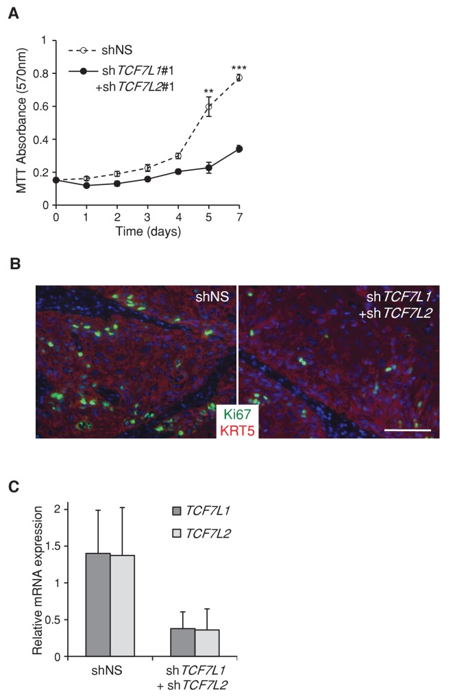 Figure 3—figure supplement 1.