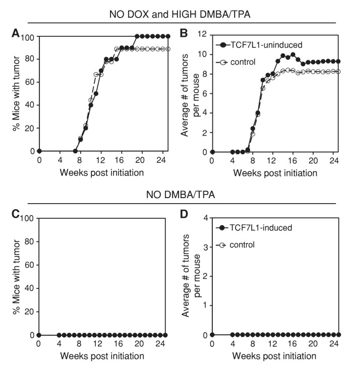 Figure 2—figure supplement 3.