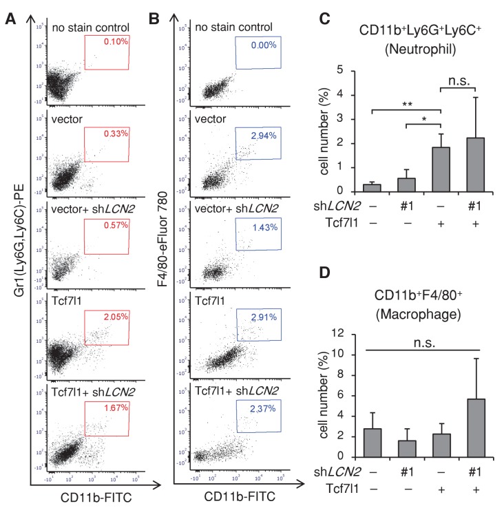 Figure 10—figure supplement 3.