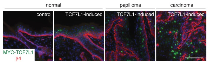 Figure 2—figure supplement 2.