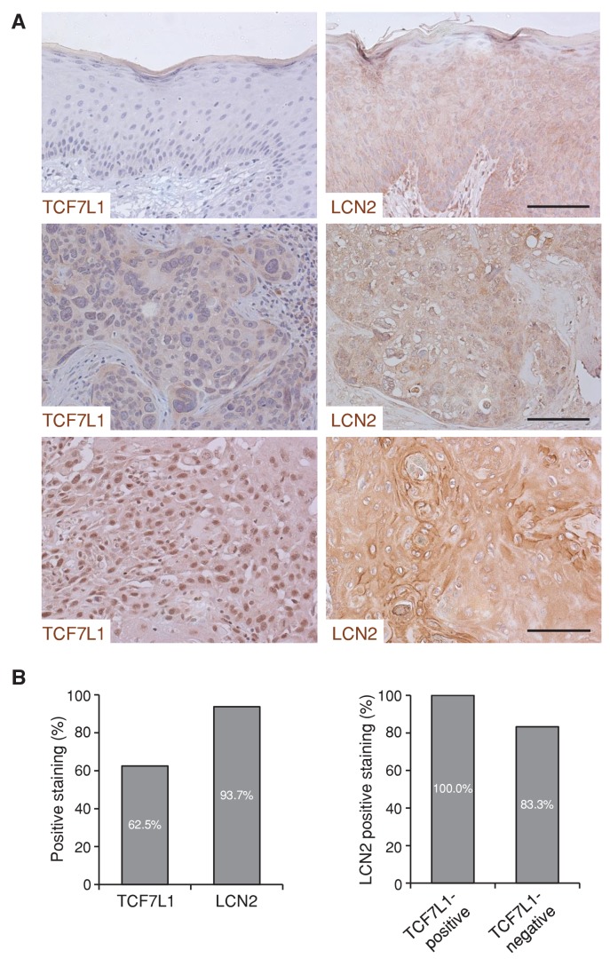 Figure 10—figure supplement 2.