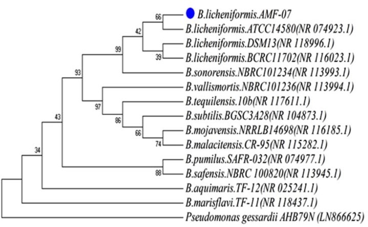 Figure 1