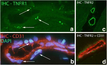 Fig. 11