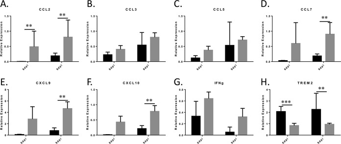 FIG 3