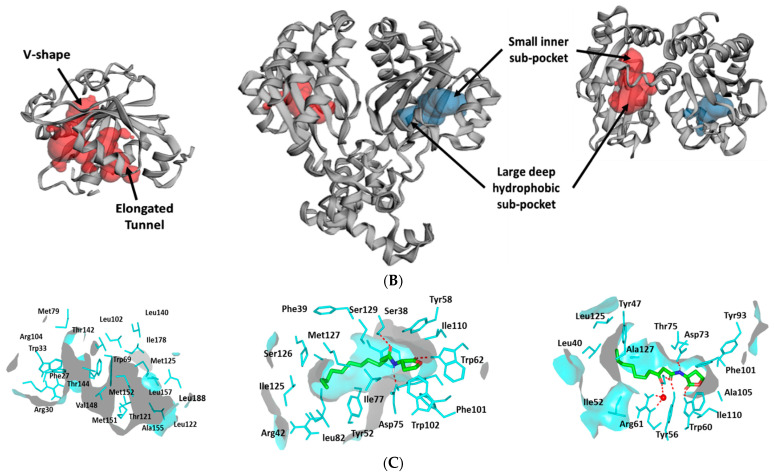 Figure 9