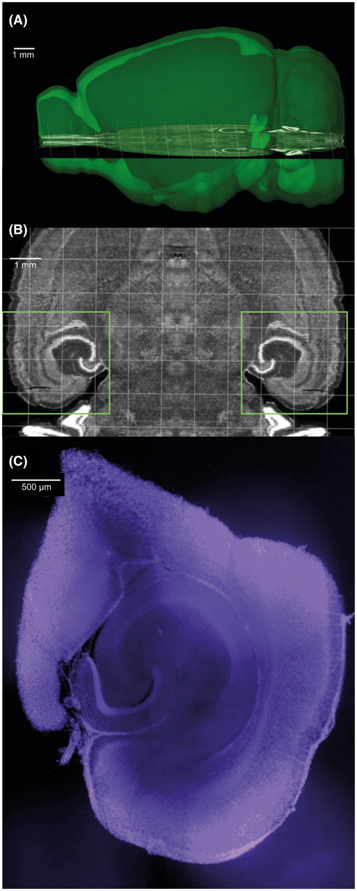 FIGURE 1