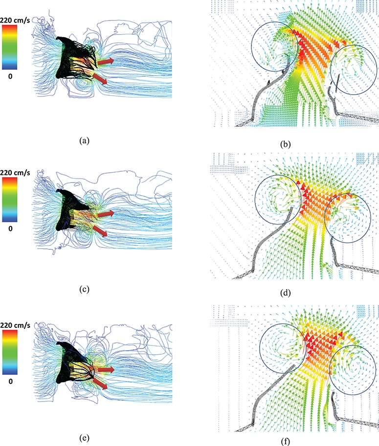 Fig. 12.