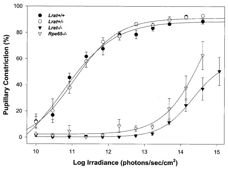 Fig. 8