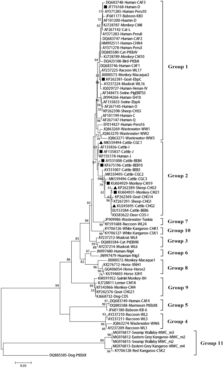 FIGURE 2