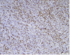 Fig 5