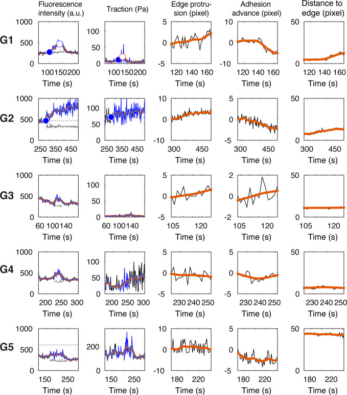 Figure 1—figure supplement 5.