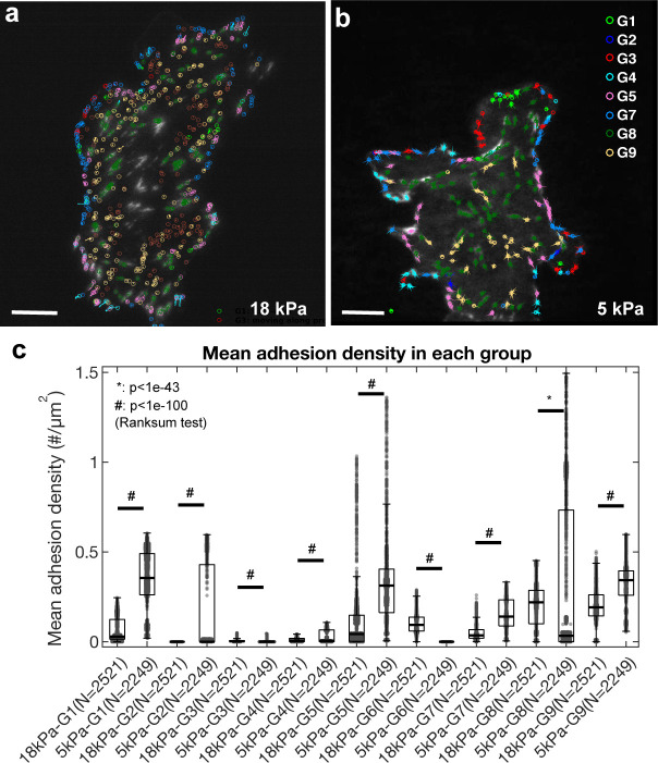 Figure 1—figure supplement 7.