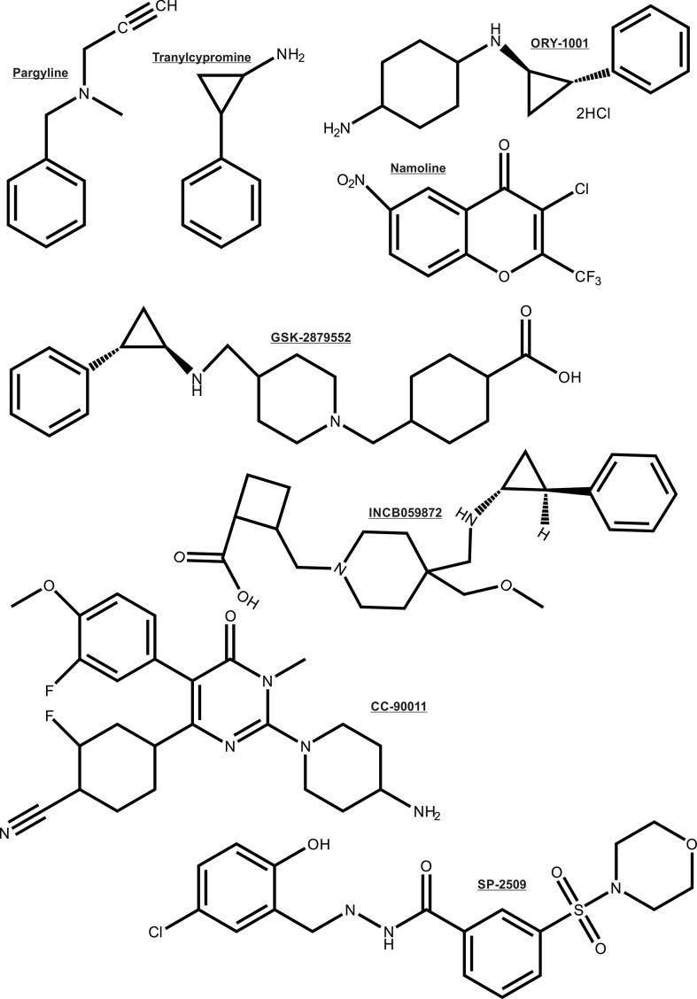 Figure 5