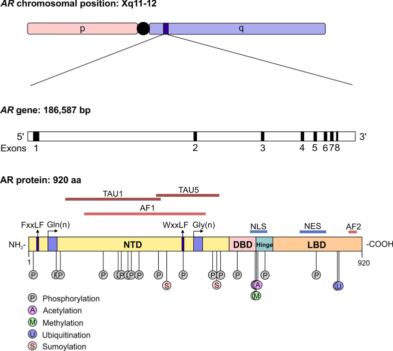 Figure 2