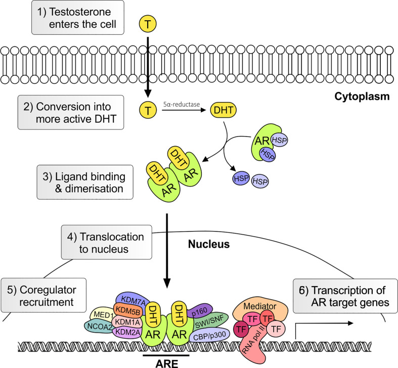 Figure 3