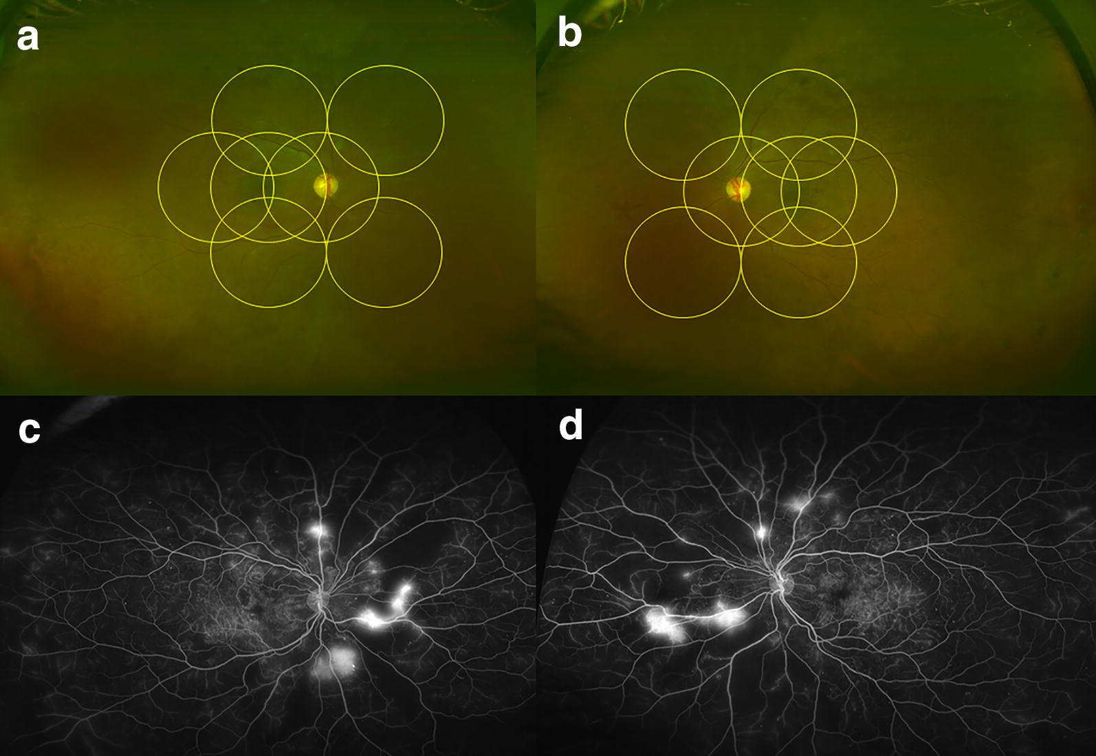 Fig. 1