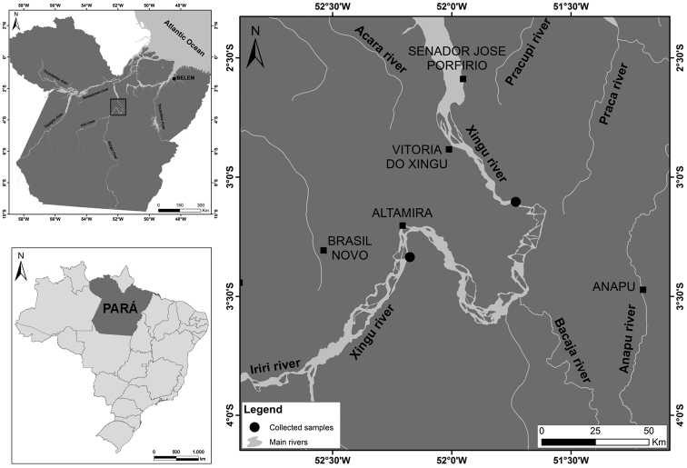 Figure 1.