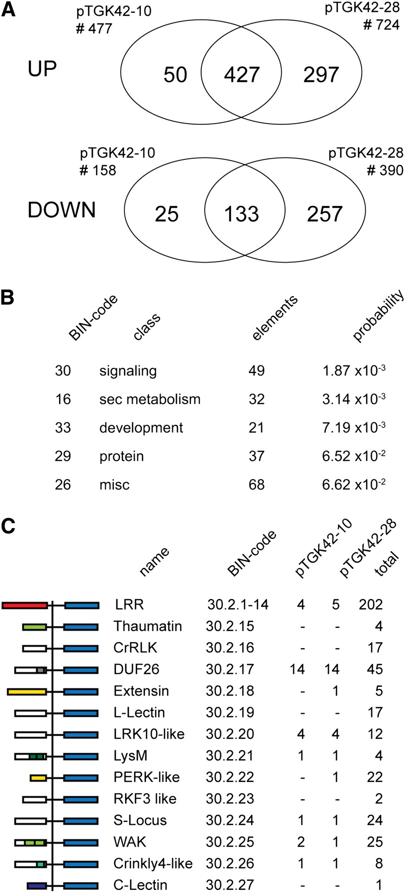 Figure 10.