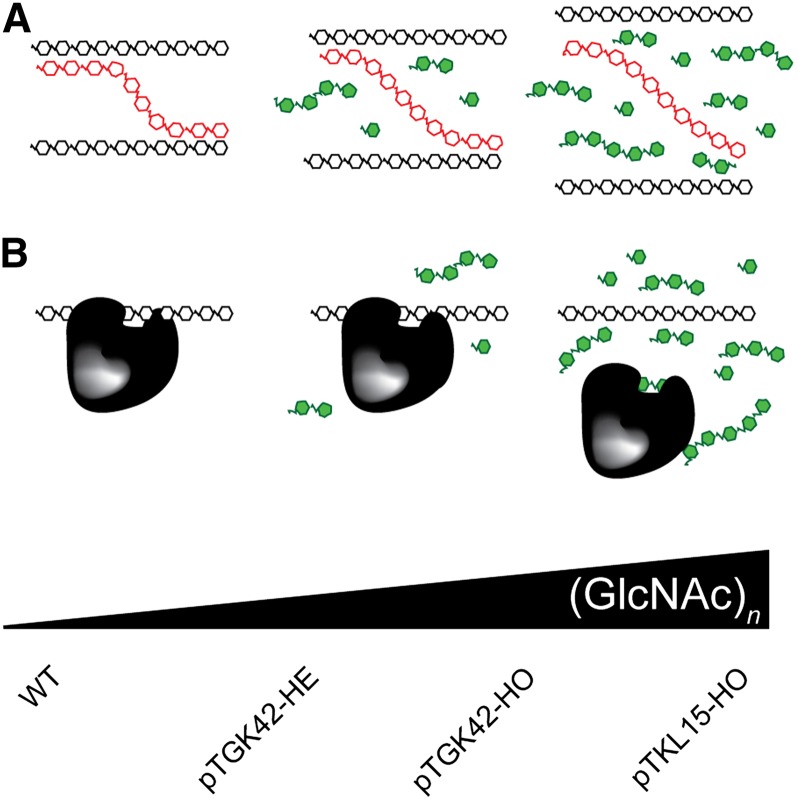 Figure 11.