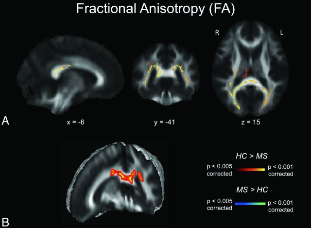 Fig 1.