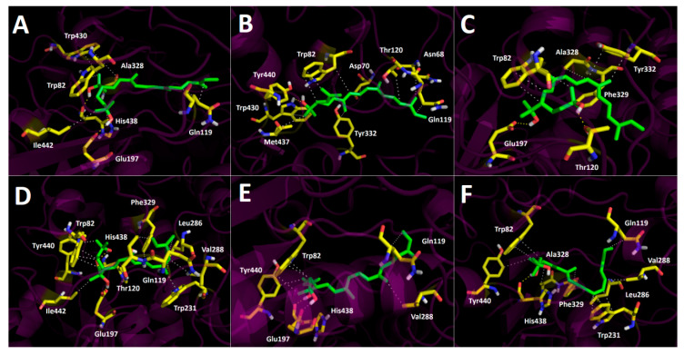 Figure 10