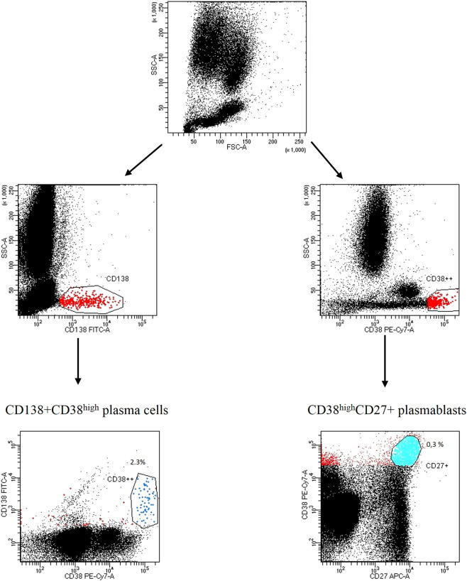 Increased expression of the ectoenzyme CD38 in peripheral blood ...