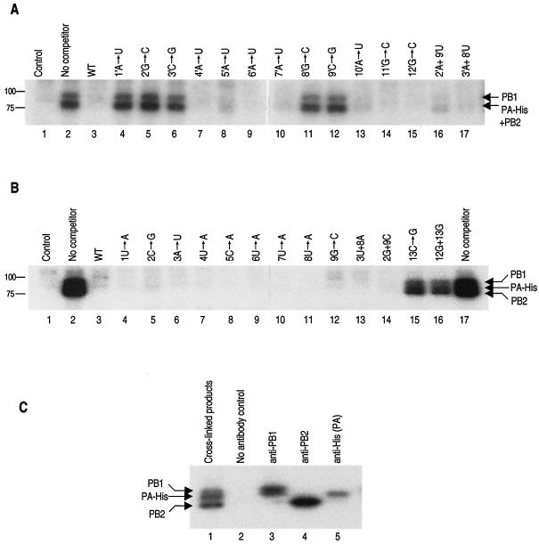 FIG. 5.