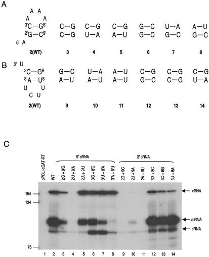 FIG. 4.