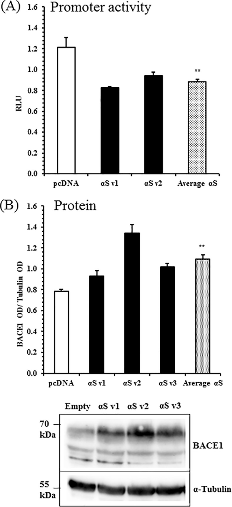 Fig 5