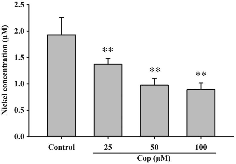 Figure 13.