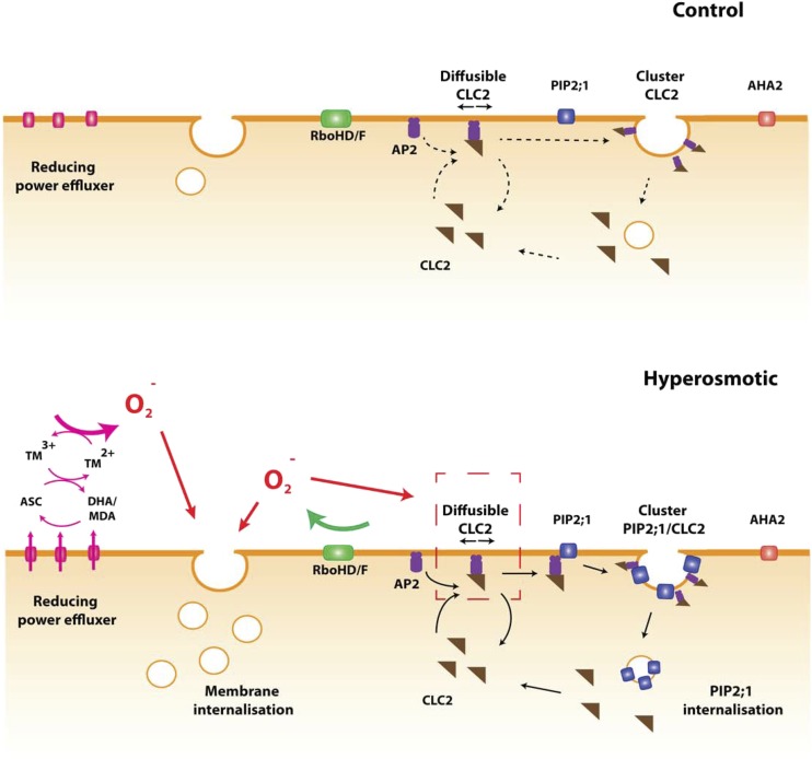 Figure 6.