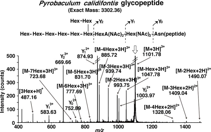 FIGURE 1.