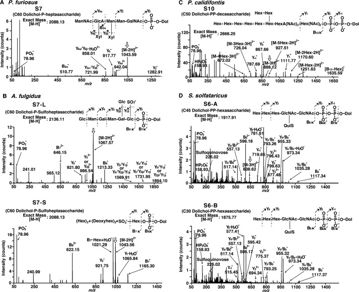 FIGURE 4.