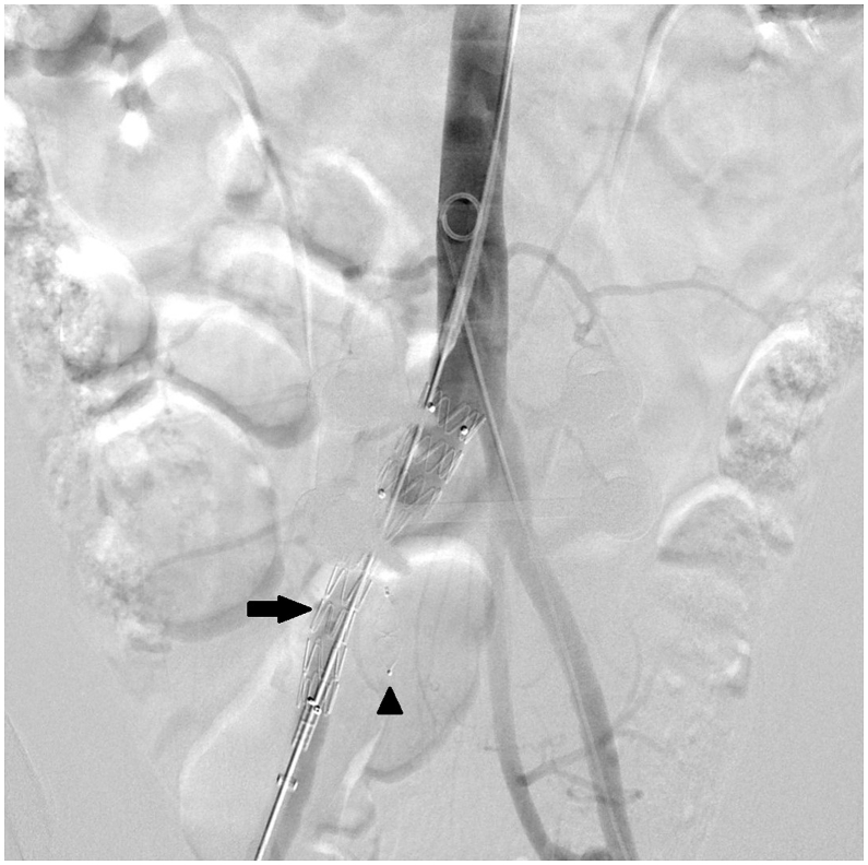 Fig. 3