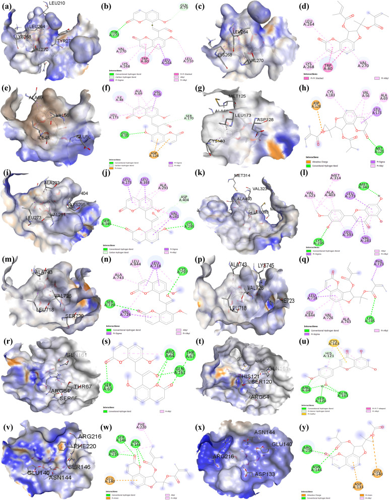 Fig. 10