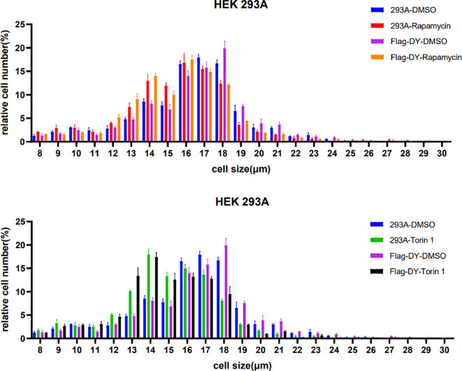 Figure 4—figure supplement 1.