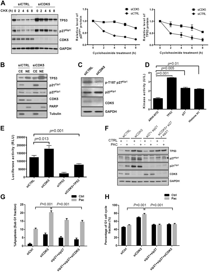 Fig 4