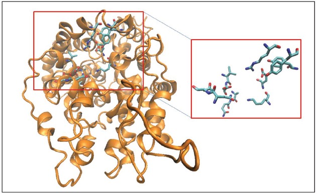 FIGURE 3