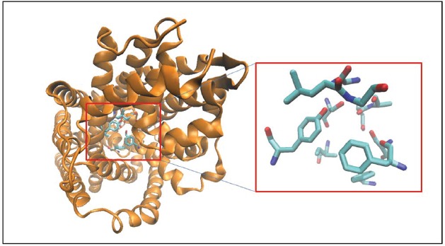 FIGURE 1