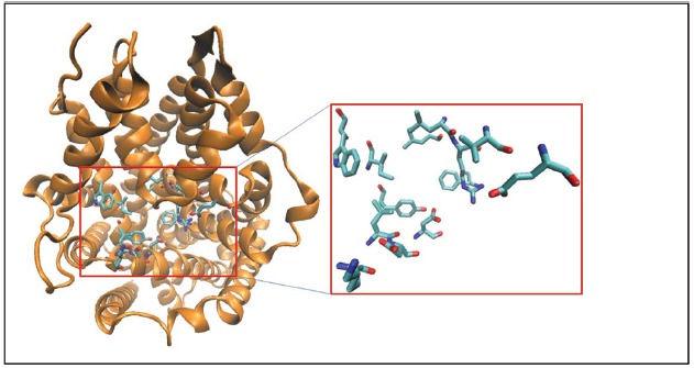 FIGURE 2