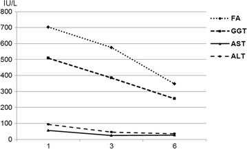 Fig. 4