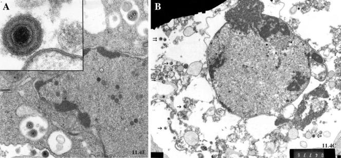 Fig. 2.3 (a)