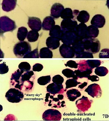 Fig. 2.4 (a,b)