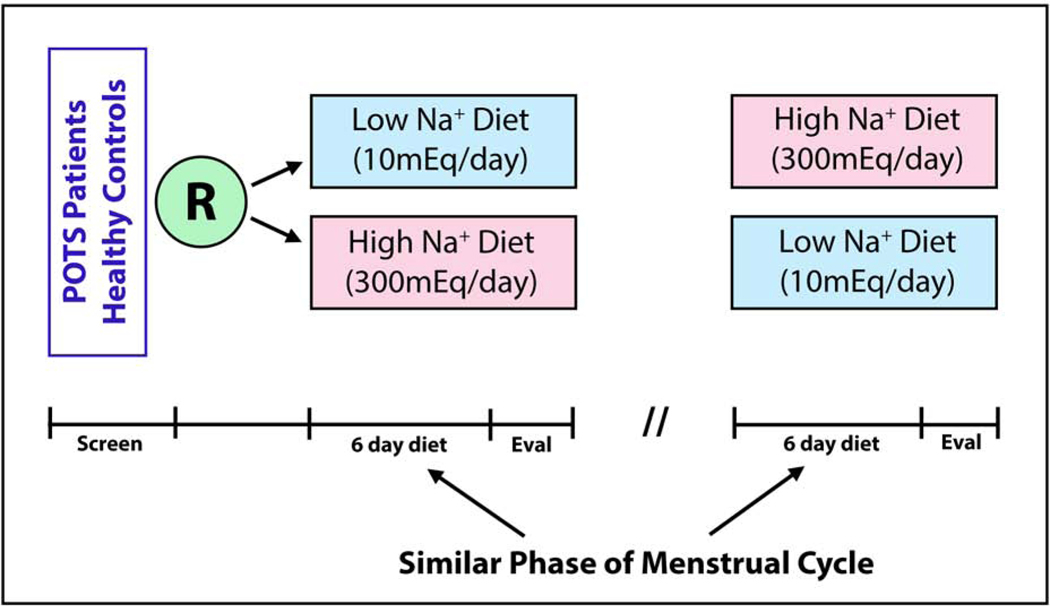 Figure 1: