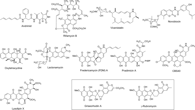 FIGURE 1.