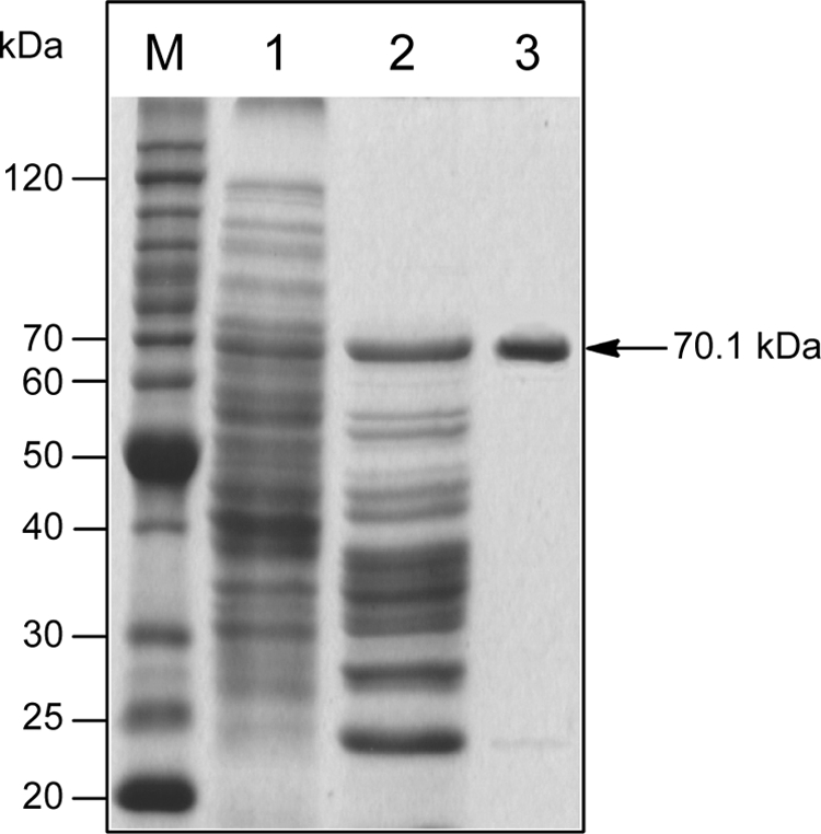 FIGURE 4.